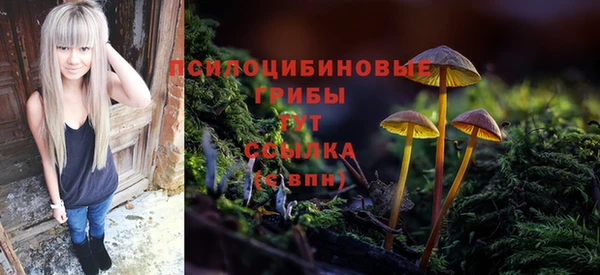 PSILOCYBIN Бородино