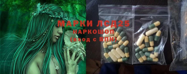 PSILOCYBIN Бородино